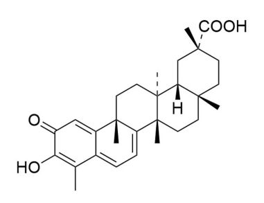 Celastrol