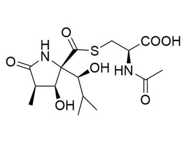 Lactacystin