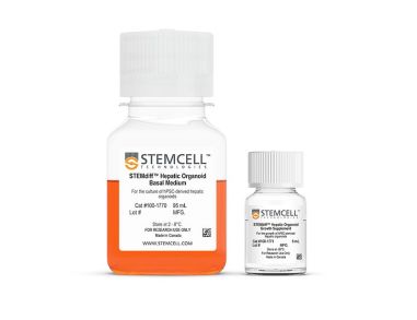 STEMdiff™ Hepatic Organoid Media