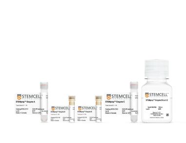 STEMprep™ Mouse Tumor Dissociation Kit