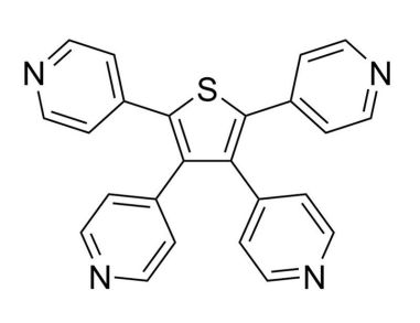 GANT 58