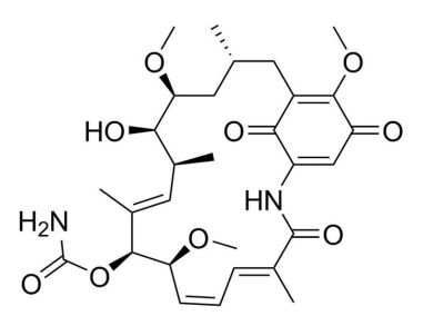 格尔德霉素（Geldanamycin）