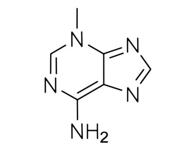3-甲基腺嘌呤（3-Methyladenine）