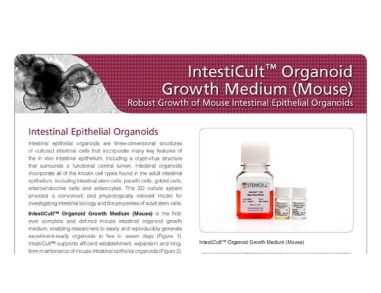 IntestiCult&trade; OGMM: Robust Growth of Mouse Intestinal Epithelial Organoids