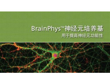 BrainPhys&trade; Neuronal Medium for Improved Neuronal Function