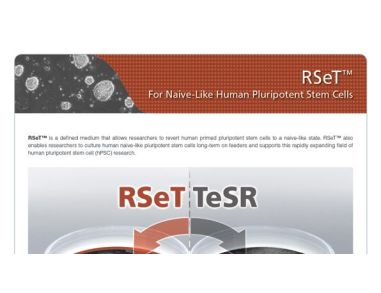 RSeT™ For Naive-Like Human Pluripotent Stem Cells