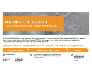 Tools to Streamline your Dendritic Cell Research
