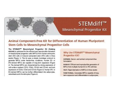 STEMdiff&trade; Mesenchymal Progenitor Kit