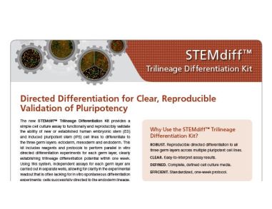 STEMdiff™ Trilineage Differentiation Kit