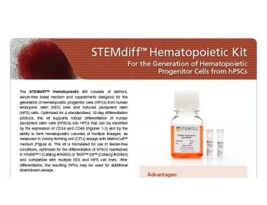 STEMdiff™ Hematopoietic Kit