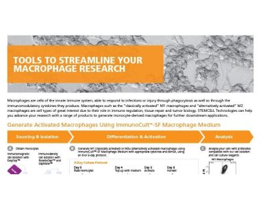 Tools to Streamline your Macrophage Research
