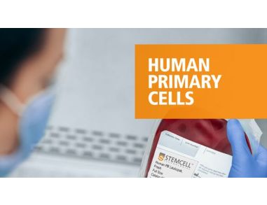 Human Primary Cells