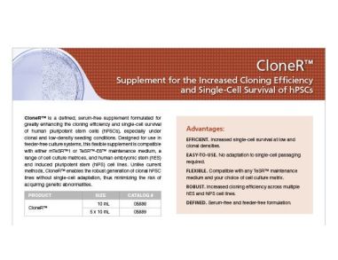 CloneR™ Supplement for the Increased Cloning Efficiency and Single-Cell Survival of hPSCs