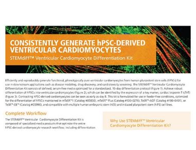 STEMdiff™ Cardiomyocyte Differentiation Kit