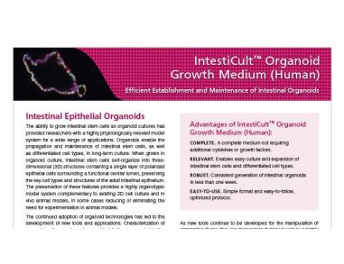 IntestiCult™ Organoid Growth Medium (Human)