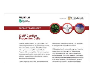 CDI iCell Cardiac Progenitor Cells Data Sheet