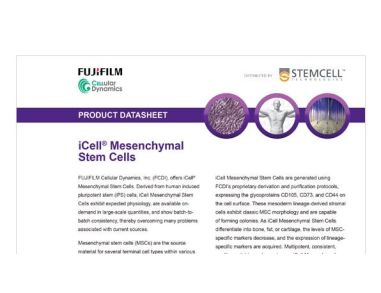 CDI iCell Mesenchymal Stem Cells Data Sheet