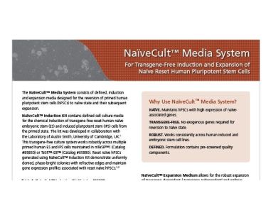 NaïveCult™ Media System