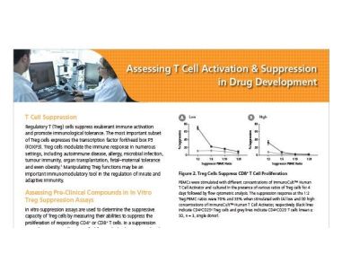 Assessing T Cell Activation & Suppression in Drug Development
