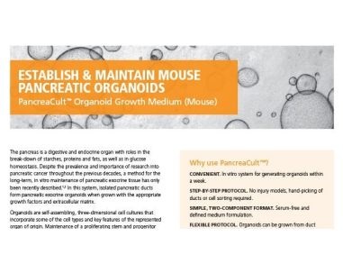 PancreaCult™ Organoid Growth Medium (Mouse)