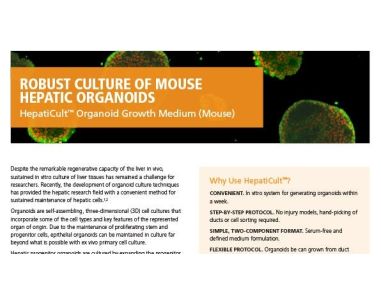 HepatiCult™ Organoid Growth Medium (Mouse)