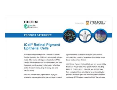 iCell® Retinal Pigment Epithelial Cells Data Sheet