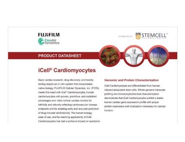 CDI iCell Cardiomyocytes Data Sheet