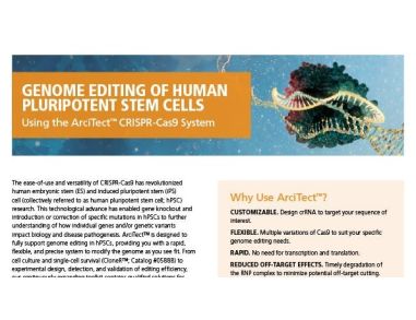 Genome Editing of Human Pluripotent Stem Cells