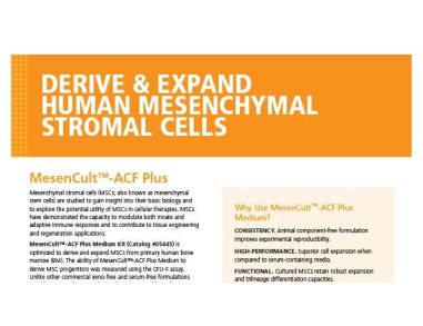 MesenCult™-ACF Plus