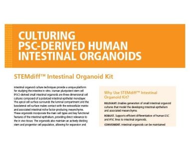 STEMdiff™ Intestinal Organoid Kit