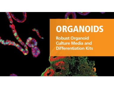 Organoids
