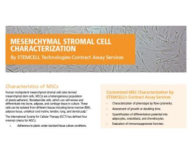Mesenchymal Stromal Cell Characterization Services