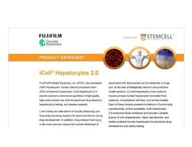 CDI iCell Hepatocytes