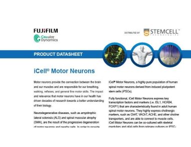 CDI iCell® Motor Neurons Data Sheet