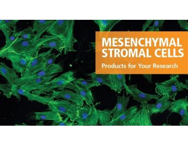 Products for Your Mesenchymal Stromal Cell Research