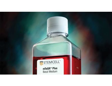 mTeSR&trade; Plus
