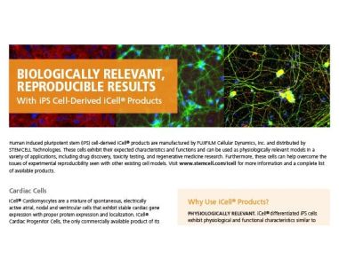 iPS Cell-Derived iCell® Products