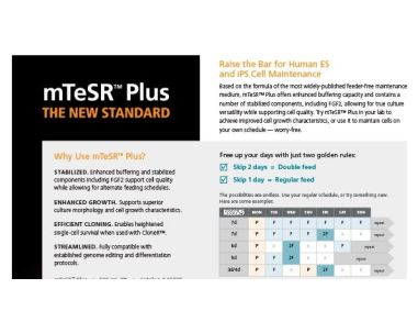 mTeSR™ Plus Product Overview Flyer