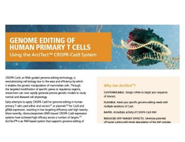Genome Editing of Human Primary T Cells