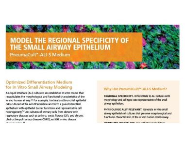 PneumaCult™-ALI-S Medium: Model the Regional Specificity of the Small Airway