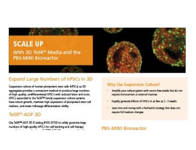 PSC Scale-Up Flyer