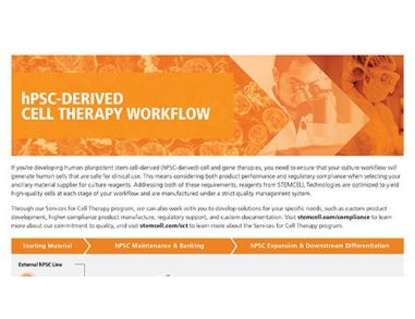 hPSC-Derived Cell Therapy Workflow
