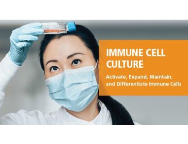 Immune Cell Culture