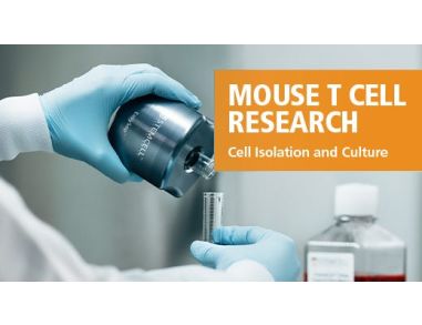 Mouse T Cell Research