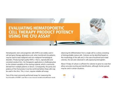 Evaluating Hematopoietic Cell Therapy Product Potency Using the CFU Assay