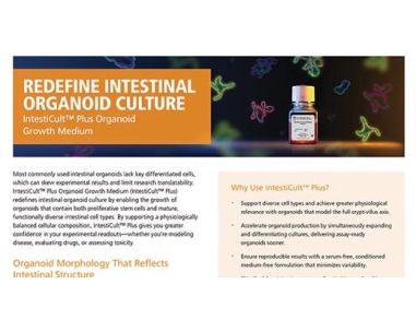 Redefine Intestinal Organoid Culture: IntestiCult™ Plus Organoid Growth Medium