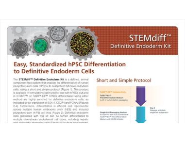 STEMdiff™ Definitive Endoderm Kit