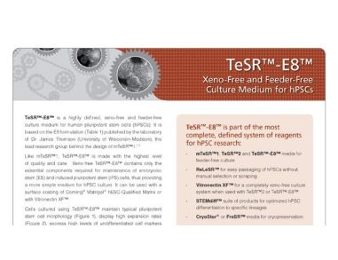 TeSR™-E8™: Feeder-Free Culture Medium for Human Pluripotent Stem Cells