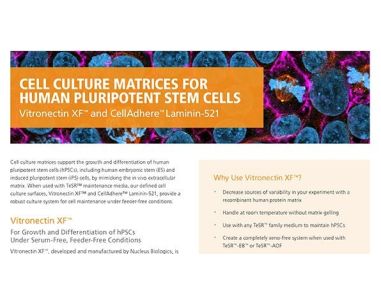 Cell Culture Matrices for Human Pluripotent Stem Cells