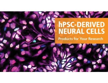 hPSC-Derived Neural Cell Research